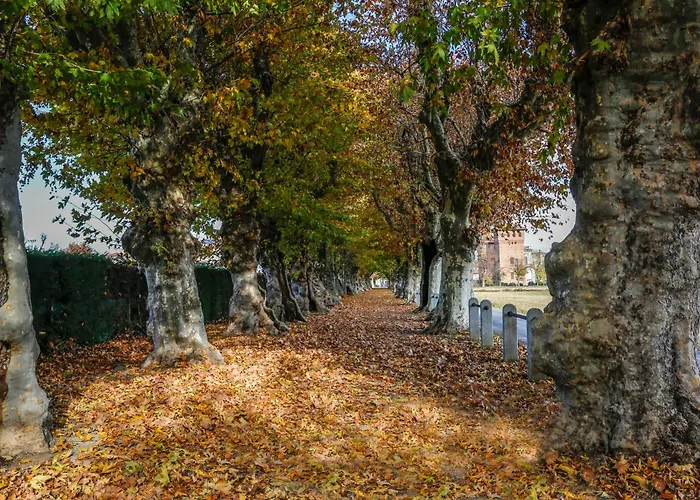 Via Roma